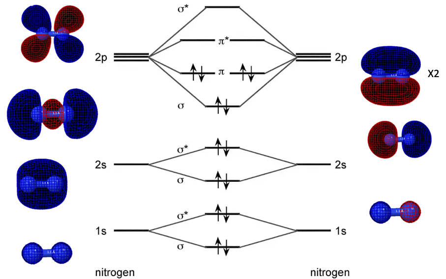 The molecular orbital diagram for nitrogen gas